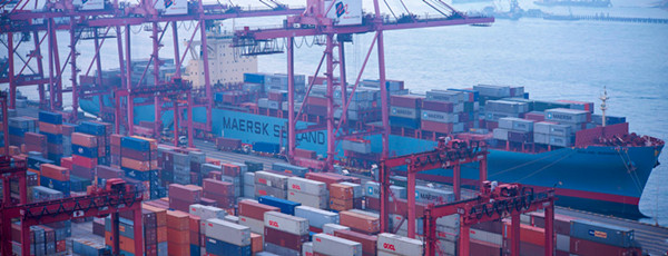 豬肉進口報關(guān)