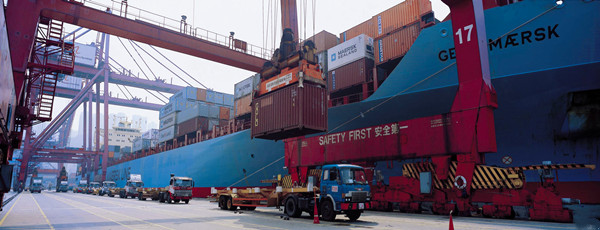 羊肉進(jìn)口報(bào)關(guān)