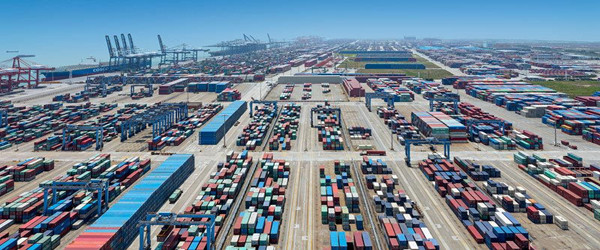 胡蘿卜進口報關(guān)代理