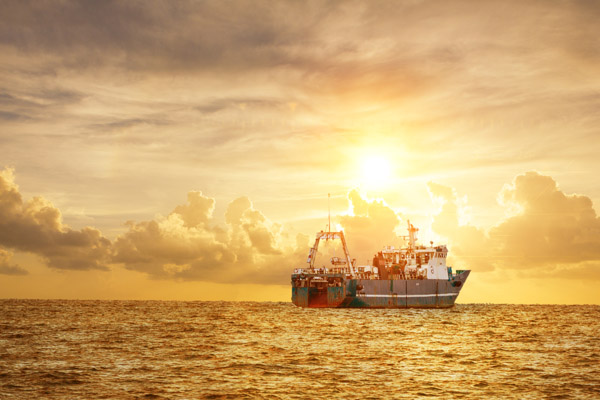 中集世聯(lián)達(dá)物流服務(wù)(上海)有限公司