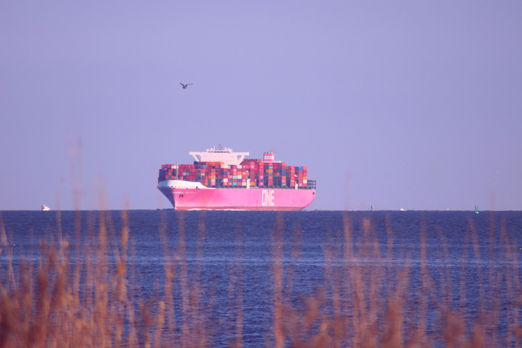 北侖進(jìn)口鎂礦報(bào)關(guān)資質(zhì)