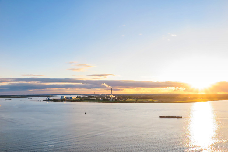 寧波貓糧進口報關