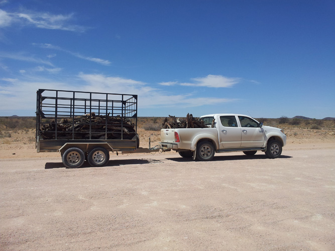 寧波港進口代理報關電話