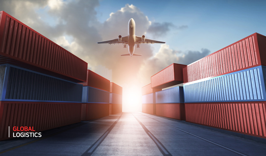 寧波進口牛頸肉報關公司