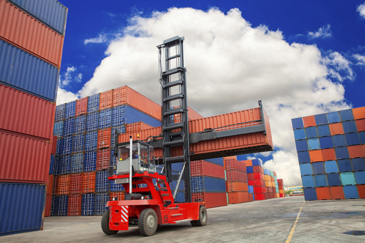 寧波洛神花進口報關費用