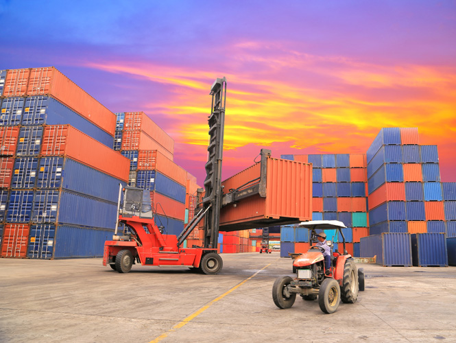 寧波飼料進口報關時效