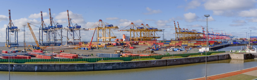 寧波進口鳳爪報關(guān)行地址 寧波進口鳳爪報關(guān)行地址