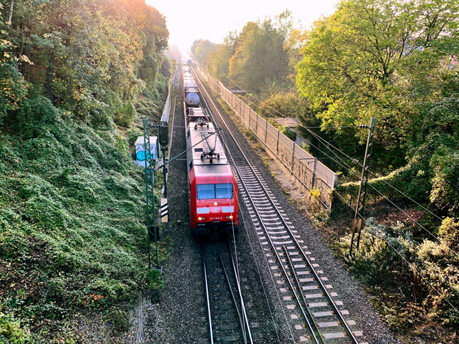 車在上海報關多少錢