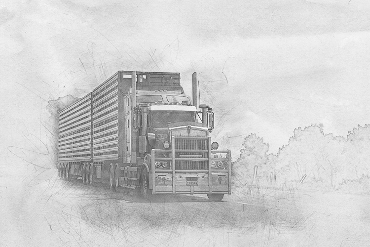 上海報(bào)關(guān)管理軟件下載