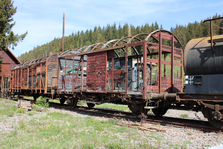 上海報(bào)關(guān)公司名字