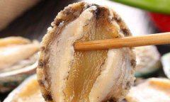 冷凍鮑魚進口清關(guān)